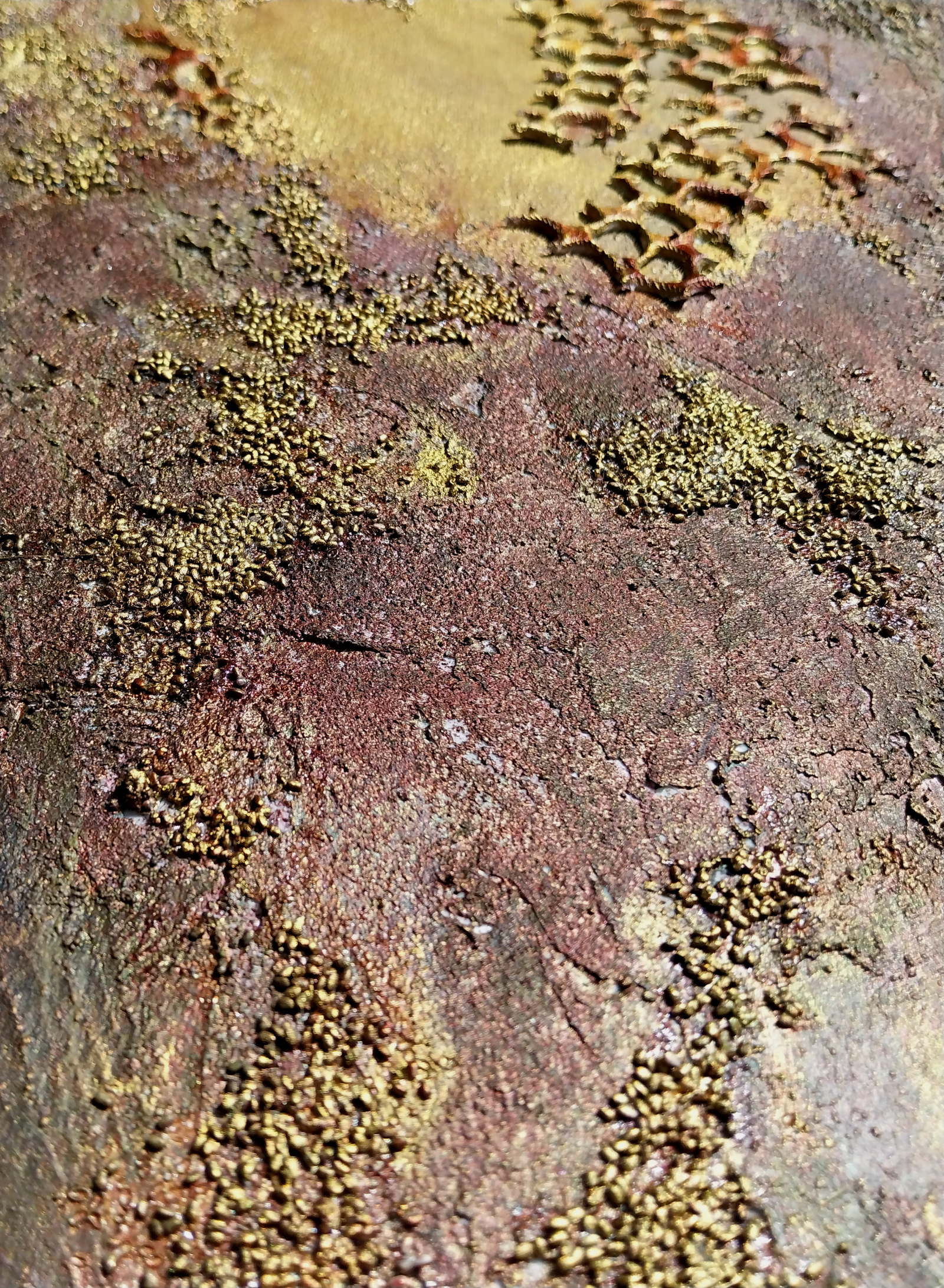 Orion Nebula…the place where stars are born / Oriono ūkas…ten kur gimsta žvaigždės - Image 3