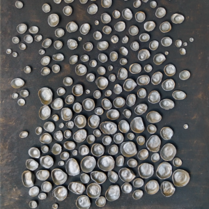 Silver Echo / Sidabrinis aidas