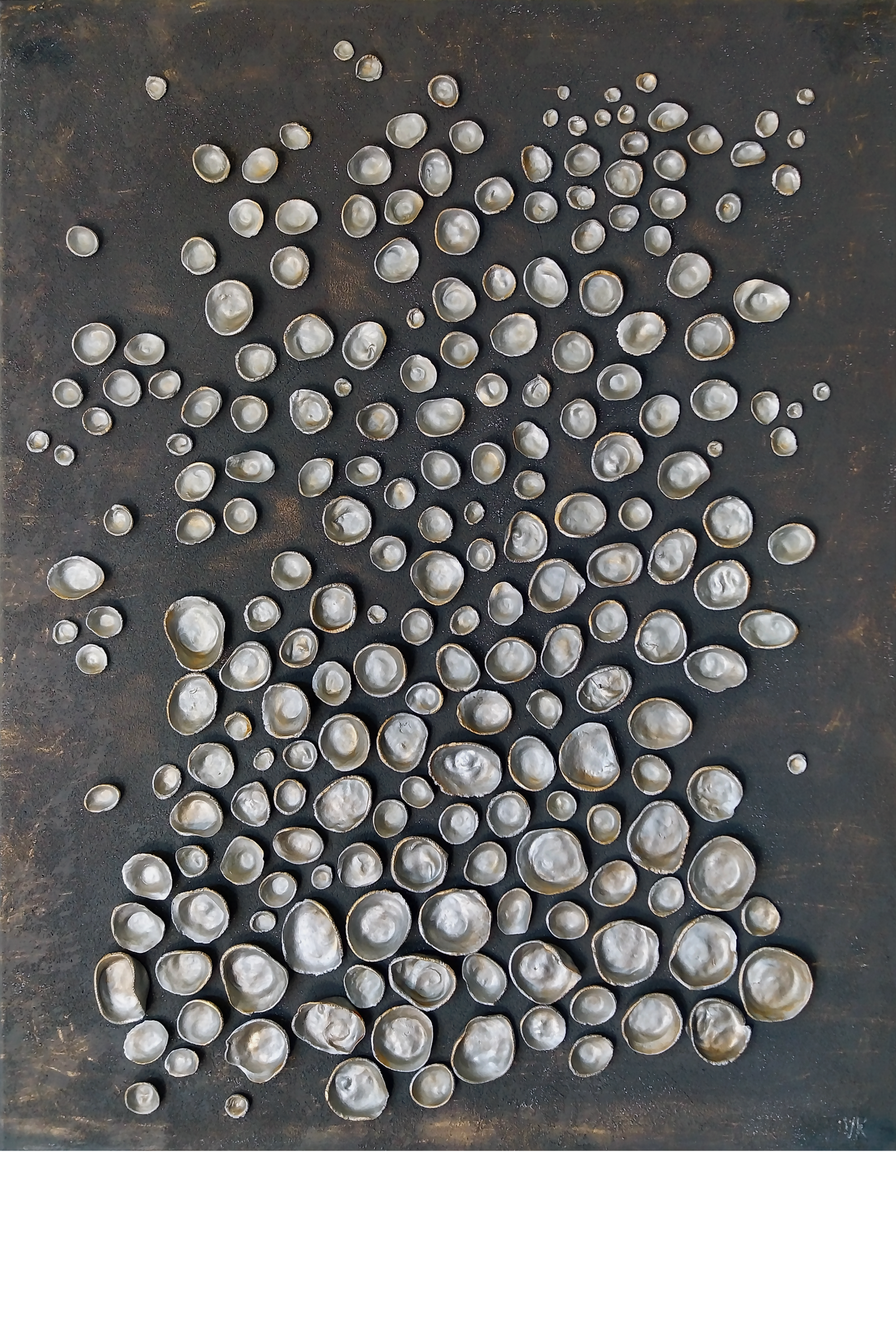 Silver Echo / Sidabrinis aidas