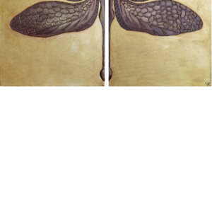 Split Flight / Atsiskyrimas